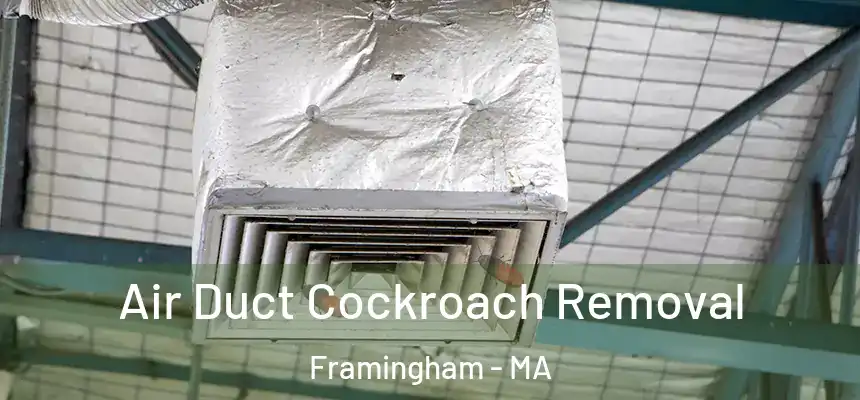 Air Duct Cockroach Removal Framingham - MA