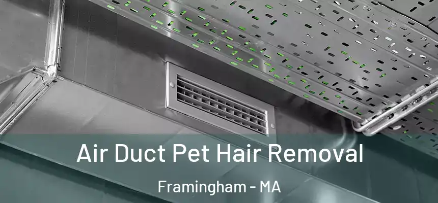 Air Duct Pet Hair Removal Framingham - MA