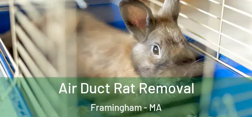 Air Duct Rat Removal Framingham - MA
