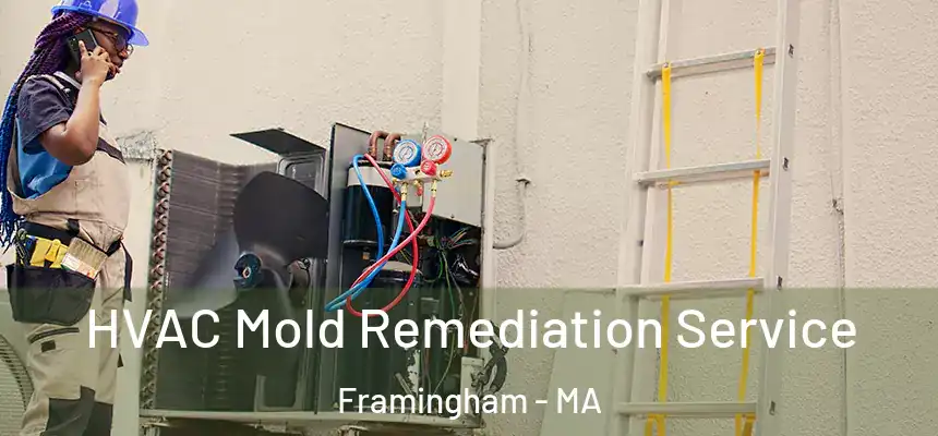 HVAC Mold Remediation Service Framingham - MA