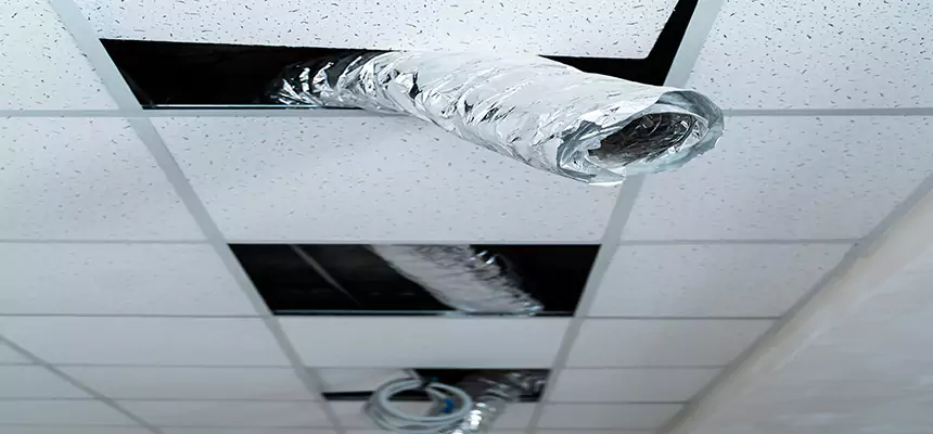 Our Air Duct Pet Hair Removal Services in Framingham, MA