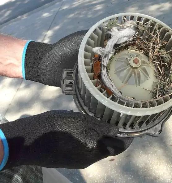 About Air Duct Rat Removal in Framingham, MA