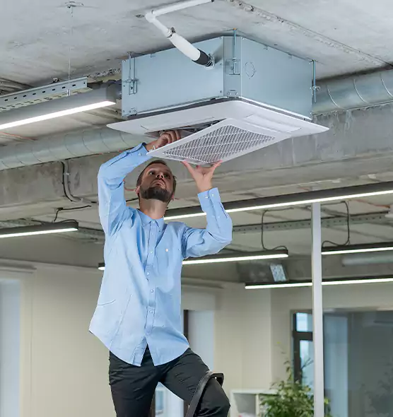 Advanced Rodent Droppings In Vents in Framingham, MA