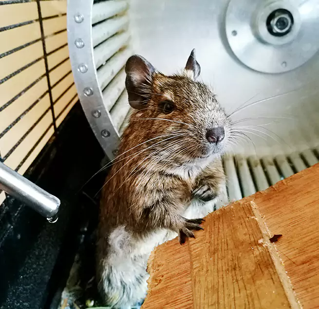 Why Homeowners & Businesses Trust Us Framingham, MA?