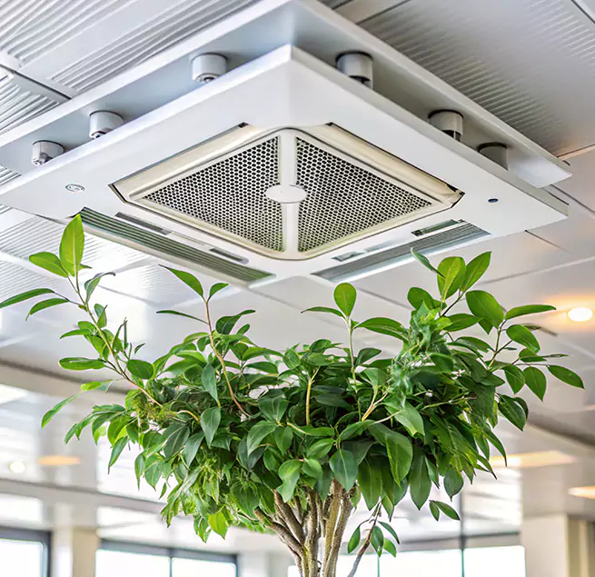 Why Homeowners & Businesses Trust Us in Framingham, MA?